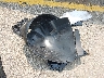 5XYK6CDF4TG****** Wrecked 2026 Kia Sportage in Wisconsin State
