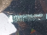1FADP3J21HL****** Used 2017 Ford Focus in Raleigh