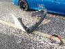 1HGCY1F43TA****** Wrecked 2026 Honda Accord in Florida State