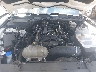 1FA6P8THXP5****** Repairable 2023 Ford Mustang in Atlanta North