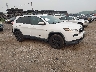 1C4PJMDB8GW****** Salvamento y Destrozados 2016 Jeep Cherokee en Philadelphia