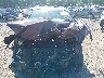 5XYKT3A63DG****** Salvage 2013 Kia Sorento in Iowa State