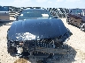 1ZVBP8AM4C5****** Destrozados 2012 Ford Mustang en Estado de Texas