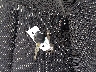KNDJF724677****** Salvage 2007 Kia Sportage in Kentucky State