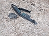2C3CDZAG8GH****** Wrecked 2016 Dodge Challenger in Texas State