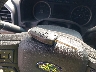 1FTEX1EP3FF****** Salvage 2015 Ford F-150 in Ohio State