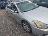 1N4BA41EX8C****** Salvage and Repairable 2008 Nissan Maxima in Tennessee State