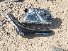 JTMZFREV6JJ****** Wrecked 2018 Toyota RAV4 in Texas State
