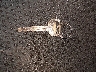 JTDJT923085****** Salvage 2008 Toyota Yaris in Illinois State