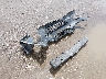 5NPDH4AEXDH****** Salvage 2013 Hyundai Elantra in Texas State
