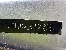 5NPDH4AEXDH****** Wrecked 2013 Hyundai Elantra in Texas State