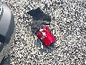 3GCPCPEH5FG****** Salvage 2015 Chevrolet Silverado 1500 in Ohio State