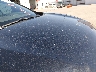 5N1AZ2MH9HN****** Reparables 2017 Nissan Murano