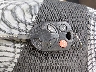 1FADP3F2XEL****** Salvage 2014 Ford Focus in Illinois State