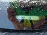 WAUBFAFL2CN****** Used 2012 Audi A4 in Englishtown