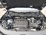 3VVUW7RM1TM****** Repairable 2026 Volkswagen Tiguan in Long Island