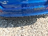 5XXGR4A69EG****** Salvage and Repairable 2014 Kia Optima in Illinois State