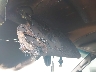 1FDWF36518E****** Usados 2008 Ford Super Duty F-350 Drw en Estado de Mississippi