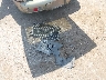 3C8FY68B64T****** Salvage 2004 Chrysler PT Cruiser in Oklahoma State