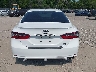 4T1G11BK0PU****** Destrozados 2023 Toyota Camry