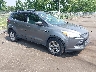 1FMCU0GX9EU****** Salvamento y Destrozados 2014 Ford Escape en Englishtown