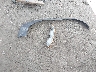 1GCWGGBGXB1****** Wrecked 2011 Chevrolet Express 2500 in Maryland State