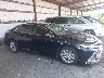 4T1C11AKXPU****** Usados 2023 Toyota Camry en Estado de Florida
