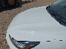 1FMCU0GN5PU****** Salvamento y Reparables 2023 Ford Escape en Estado de Texas