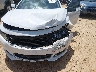 1G11Z5S34KU****** Salvamento y Reparables 2019 Chevrolet Impala en Estado de Carolina del Norte