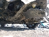 KMHLM4DG1SU****** Wrecked 2025 Hyundai Elantra