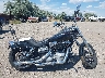 1HD1GX4169K****** Destrozados 2009 Harley-Davidson Dyna Street Bob en Estado de Wyoming