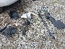 1GNSKHKC0HR****** Wrecked 2017 Chevrolet Suburban in Ohio State