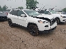 1C4PJMDS6HW****** Salvamento y Destrozados 2017 Jeep Cherokee en Detroit