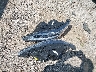 5XYKT3A68FG****** Wrecked 2015 Kia Sorento in Oklahoma State