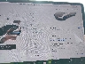 5YJ3E1EA5LF****** Salvage 2020 Tesla Model 3 in Electric Vehicle Auctions