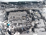 KMHLL4DG6TU****** Reparables 2026 Hyundai Elantra en Memphis