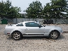 1ZVFT80N965****** Usados 2006 Ford Mustang en Estado de Nueva Jersey