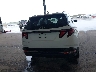 5NMJB3DE6RH****** Destrozados 2024 Hyundai Tucson