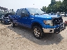 1FTFW1EVXAF****** Salvage and Wrecked 2010 Ford F-150 in Baltimore