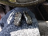 3GCPYFED1KG****** Salvage 2019 Chevrolet Silverado 1500 in North Carolina State