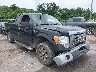 1FTRX12879K****** Salvamento y Destrozados 2009 Ford F-150 en Baton Rouge