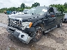 1FTRX12879K****** Usados y Reparables 2009 Ford F-150 en Baton Rouge