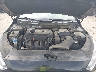 5NPE34AF1KH****** Reparables 2019 Hyundai Sonata en Houston