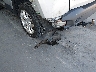 ZACCJBBBXHP****** Salvamento y Reparables 2017 Jeep Renegade en Estado de Florida