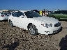 2G4WE587971****** Salvamento y Destrozados 2007 Buick LaCrosse en Wichita