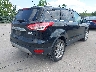 1FMCU0JX5FU****** Salvamento y Destrozados 2015 Ford Escape en Estado de Illinois