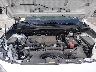 JTMN1RFV7KD****** Repairable 2019 Toyota RAV4 in Dallas