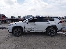 JTMN1RFV7KD****** Salvage 2019 Toyota RAV4
