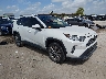 JTMN1RFV7KD****** Salvage and Wrecked 2019 Toyota RAV4 in Dallas