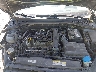 3VWG57AU6MM****** Repairable 2021 Volkswagen Golf in Albany